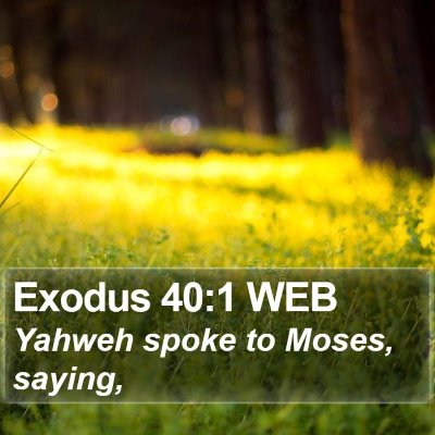 Exodus 40:1 WEB Bible Verse Image