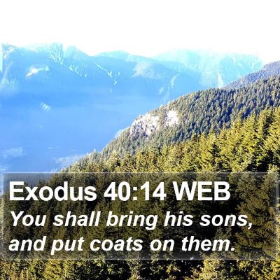 Exodus 40:14 WEB Bible Verse Image
