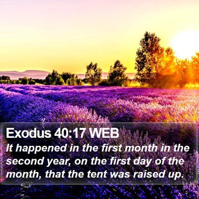 Exodus 40:17 WEB Bible Verse Image