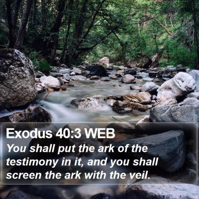 Exodus 40:3 WEB Bible Verse Image