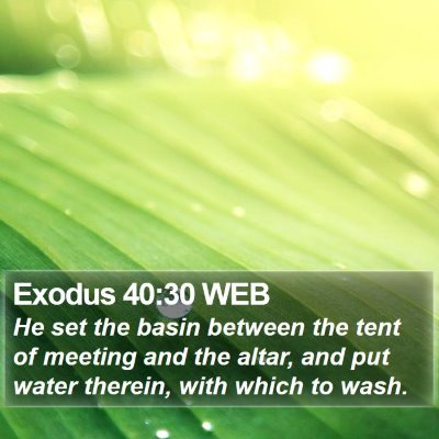 Exodus 40:30 WEB Bible Verse Image