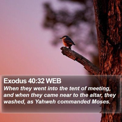 Exodus 40:32 WEB Bible Verse Image