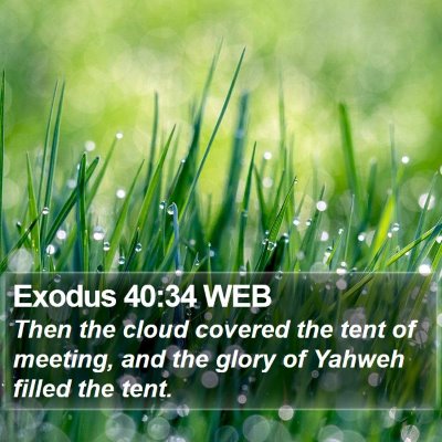 Exodus 40:34 WEB Bible Verse Image