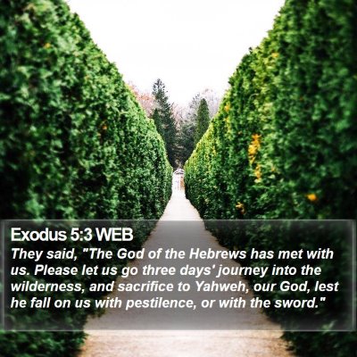 Exodus 5:3 WEB Bible Verse Image