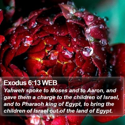 Exodus 6:13 WEB Bible Verse Image