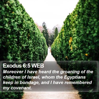 Exodus 6:5 WEB Bible Verse Image