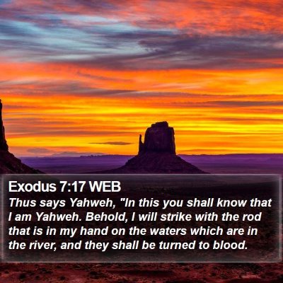 Exodus 7:17 WEB Bible Verse Image