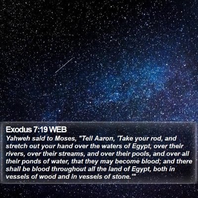 Exodus 7:19 WEB Bible Verse Image