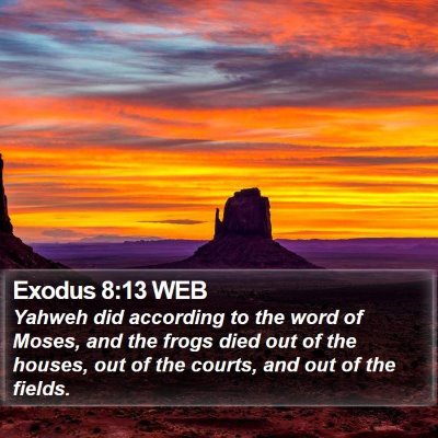 Exodus 8:13 WEB Bible Verse Image