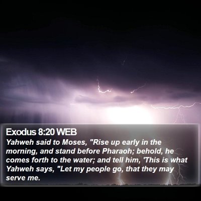 Exodus 8:20 WEB Bible Verse Image
