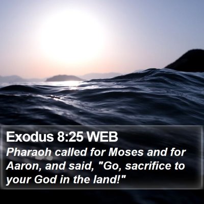 Exodus 8:25 WEB Bible Verse Image