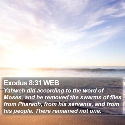 Exodus 8:31 WEB Bible Verse Image