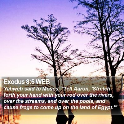 Exodus 8:5 WEB Bible Verse Image