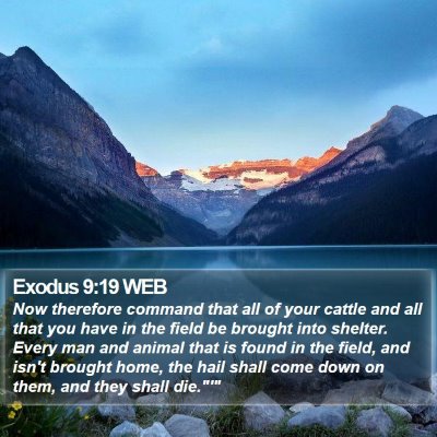 Exodus 9:19 WEB Bible Verse Image