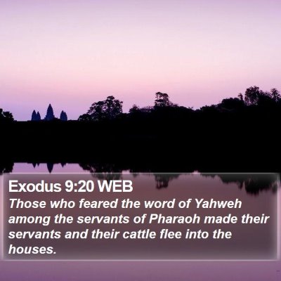 Exodus 9:20 WEB Bible Verse Image