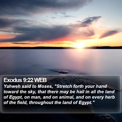 Exodus 9:22 WEB Bible Verse Image