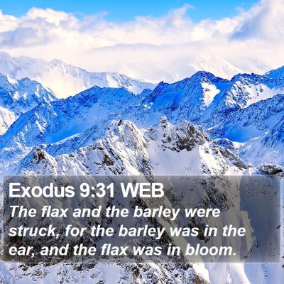 Exodus 9:31 WEB Bible Verse Image
