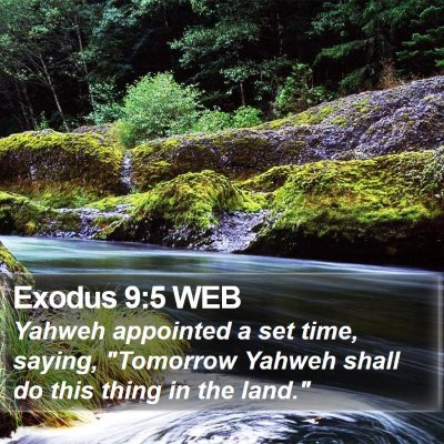 Exodus 9:5 WEB Bible Verse Image