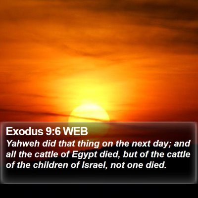 Exodus 9:6 WEB Bible Verse Image