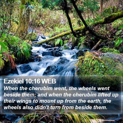 Ezekiel 10:16 WEB Bible Verse Image