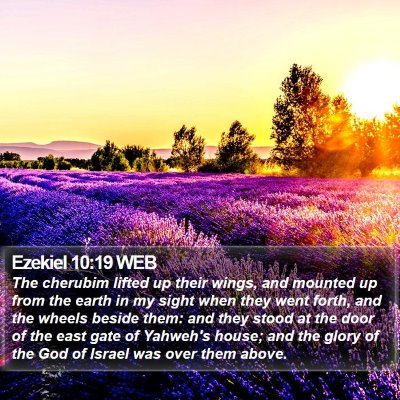 Ezekiel 10:19 WEB Bible Verse Image