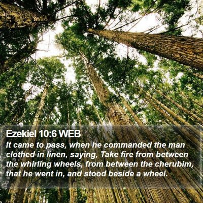Ezekiel 10:6 WEB Bible Verse Image