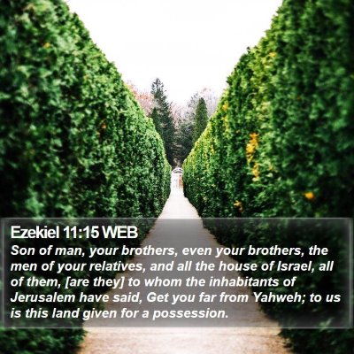Ezekiel 11:15 WEB Bible Verse Image