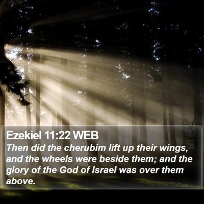Ezekiel 11:22 WEB Bible Verse Image