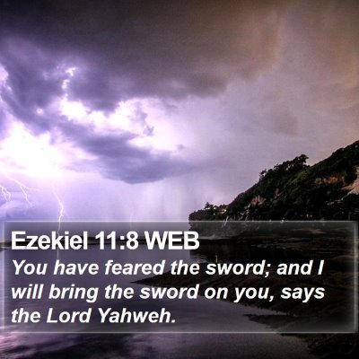Ezekiel 11:8 WEB Bible Verse Image
