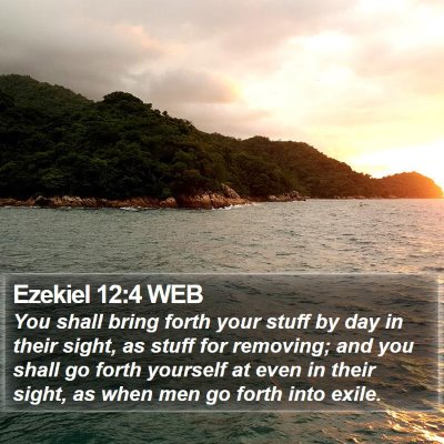 Ezekiel 12:4 WEB Bible Verse Image