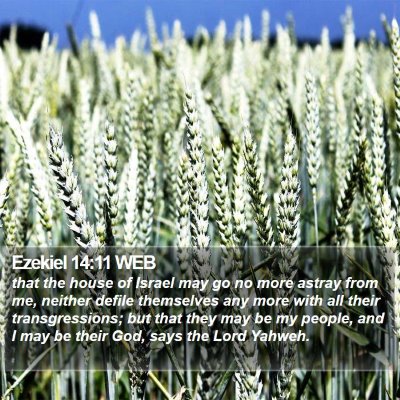 Ezekiel 14:11 WEB Bible Verse Image