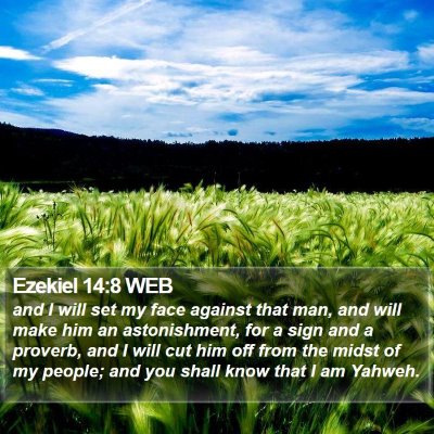 Ezekiel 14:8 WEB Bible Verse Image
