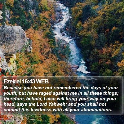 Ezekiel 16:43 WEB Bible Verse Image
