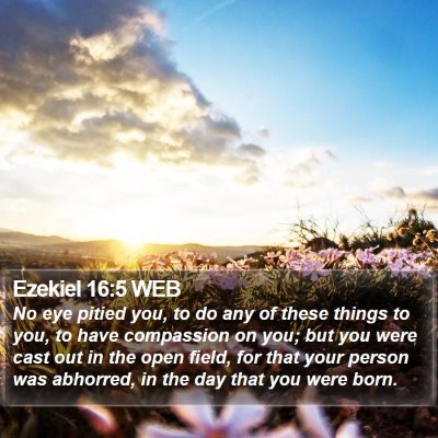 Ezekiel 16:5 WEB Bible Verse Image