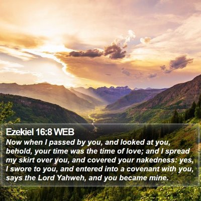 Ezekiel 16:8 WEB Bible Verse Image