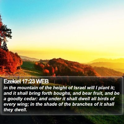 Ezekiel 17:23 WEB Bible Verse Image