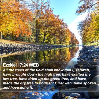 Ezekiel 17:24 WEB Bible Verse Image