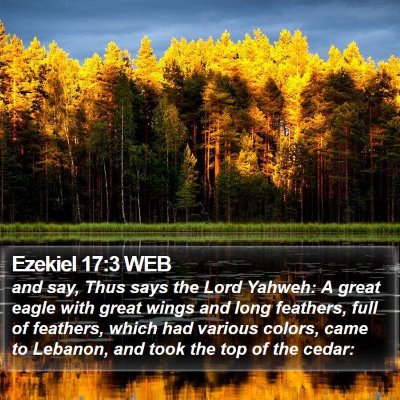 Ezekiel 17:3 WEB Bible Verse Image