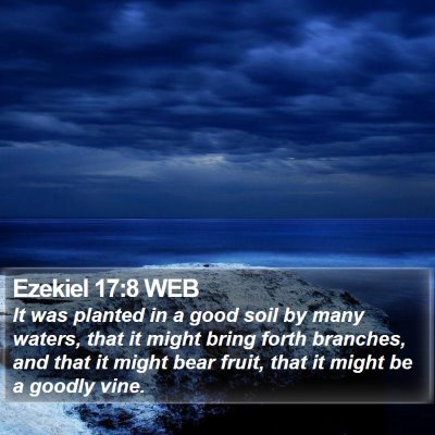 Ezekiel 17:8 WEB Bible Verse Image