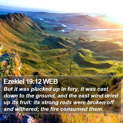 Ezekiel 19:12 WEB Bible Verse Image
