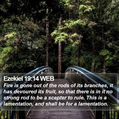 Ezekiel 19:14 WEB Bible Verse Image