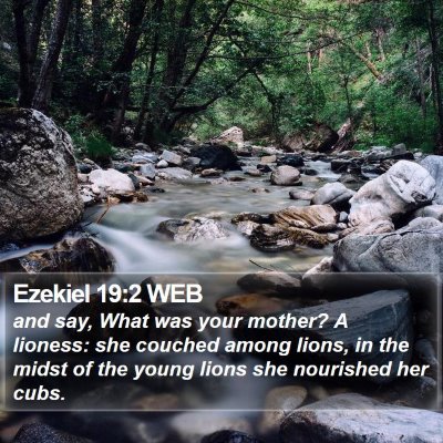 Ezekiel 19:2 WEB Bible Verse Image