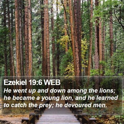 Ezekiel 19:6 WEB Bible Verse Image