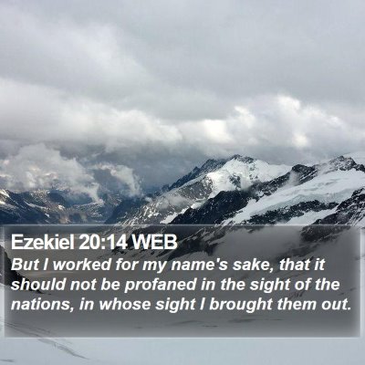 Ezekiel 20:14 WEB Bible Verse Image