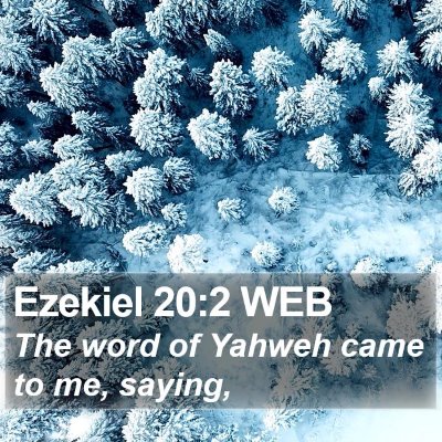 Ezekiel 20:2 WEB Bible Verse Image