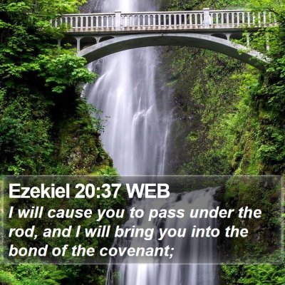 Ezekiel 20:37 WEB Bible Verse Image