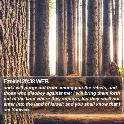 Ezekiel 20:38 WEB Bible Verse Image