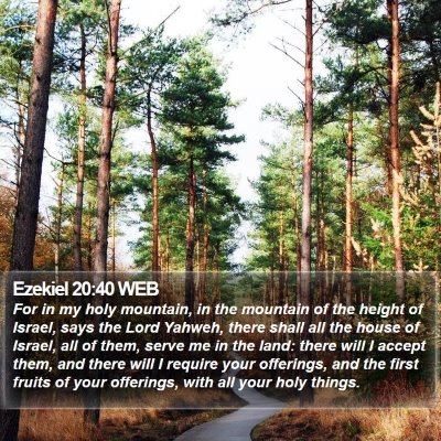 Ezekiel 20:40 WEB Bible Verse Image
