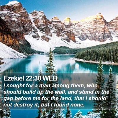 Ezekiel 22:30 WEB Bible Verse Image