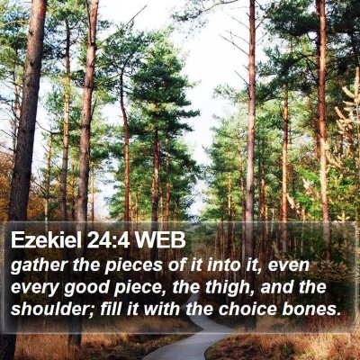 Ezekiel 24:4 WEB Bible Verse Image